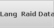 Lang  Raid Data Recovery Services